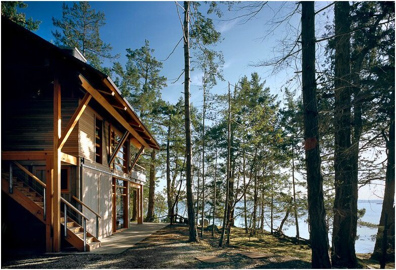 A Small Island House That Opens Up To The Forrest