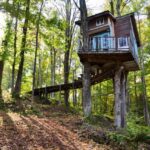 Fern Treehouse Green Mountain National Forest