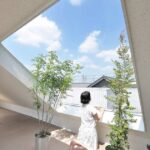 The Montblanc House - Studio Velocity - Japan - Roof Opening - Humble Homes