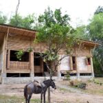 Bamboo House - Convento House - Enrique Mora Alvarado - Ecuador - Exterior - Humble Homes