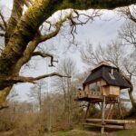 Tiny Hut on Stilts - Nozomi Nakabayashi - Dorset England - Exterior Front - Humble Homes